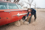 Maureen's First Tumbleweed!