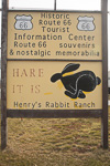 Hare It Is!