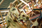 Casino Pier Carousel