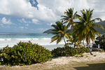 Long Bay Resort Room View